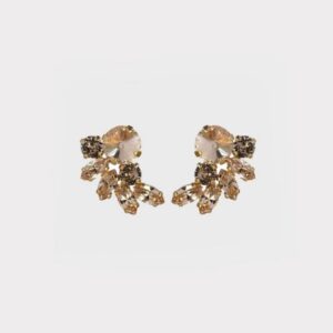 Earrings new